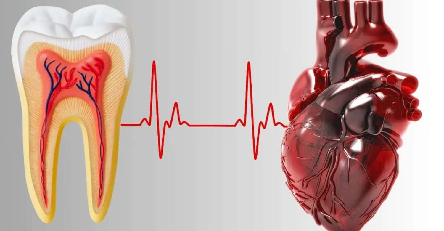 Dental Treatment and Heart Disease 2